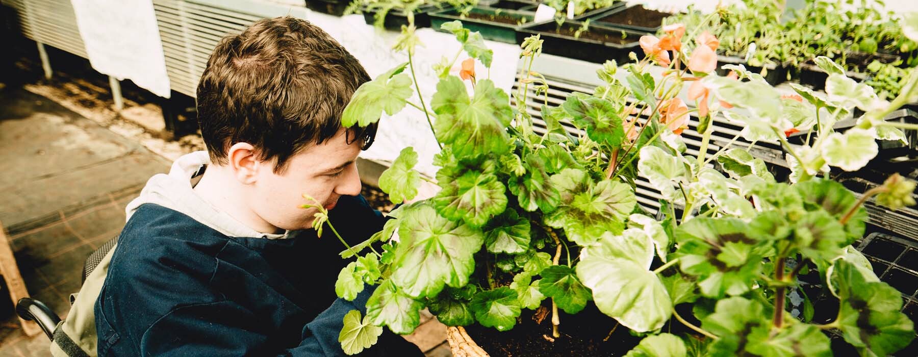 Student preparing plants in Horticulture Unit